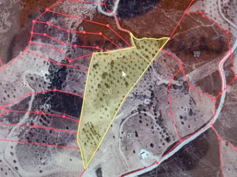 TERRENO RÚSTICO COM 20.000 M2 - VISTA LAGO - NO CERRO DO ENHO EM CASTRO MARIM - ALGARVE