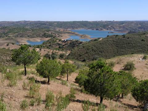 TERRENO RÚSTICO COM 20.000 M2 - VISTA LAGO - NO CERRO DO ENHO EM CASTRO MARIM - ALGARVE