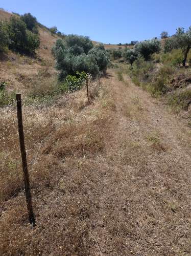 TERRENO RÚSTICO COM 20.000 M2 - VISTA LAGO - NO CERRO DO ENHO EM CASTRO MARIM - ALGARVE
