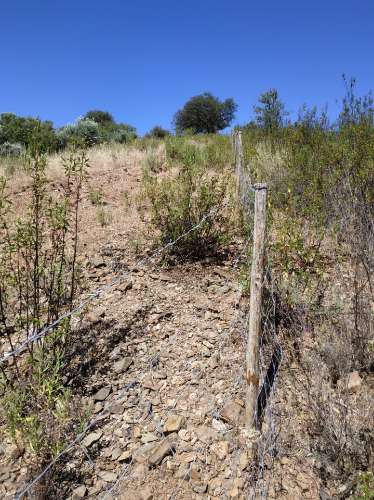 TERRENO RÚSTICO COM 20.000 M2 - VISTA LAGO - NO CERRO DO ENHO EM CASTRO MARIM - ALGARVE