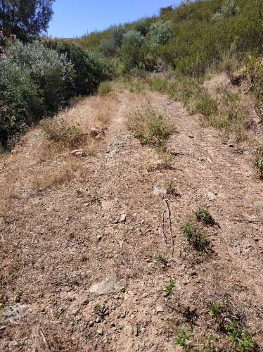 TERRENO RÚSTICO COM 20.000 M2 - VISTA LAGO - NO CERRO DO ENHO EM CASTRO MARIM - ALGARVE