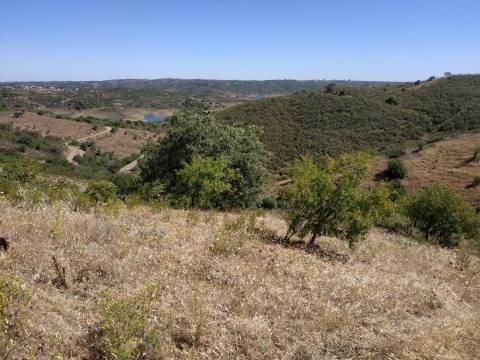 TERRENO RÚSTICO COM 20.000 M2 - VISTA LAGO - NO CERRO DO ENHO EM CASTRO MARIM - ALGARVE