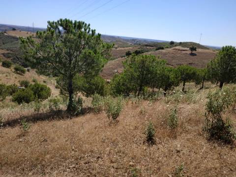 TERRENO RÚSTICO COM 20.000 M2 - VISTA LAGO - NO CERRO DO ENHO EM CASTRO MARIM - ALGARVE