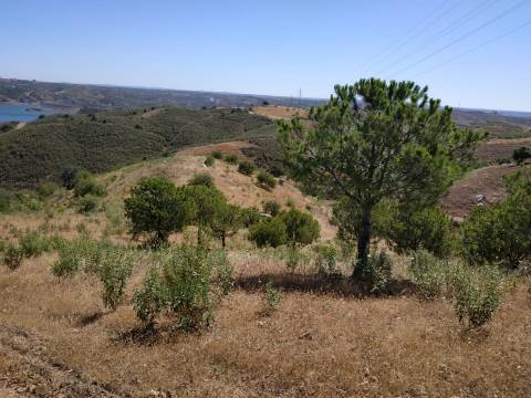 TERRENO RÚSTICO COM 20.000 M2 - VISTA LAGO - NO CERRO DO ENHO EM CASTRO MARIM - ALGARVE