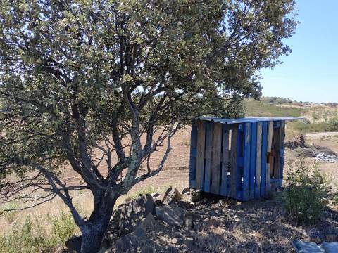 TERRENO RÚSTICO COM 20.000 M2 - VISTA LAGO - NO CERRO DO ENHO EM CASTRO MARIM - ALGARVE