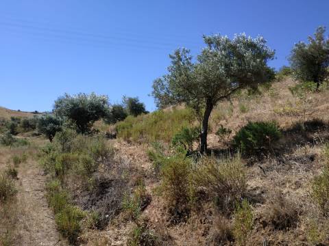 TERRENO RÚSTICO COM 20.000 M2 - VISTA LAGO - NO CERRO DO ENHO EM CASTRO MARIM - ALGARVE