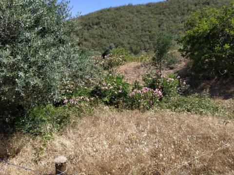 TERRENO RÚSTICO COM 20.000 M2 - VISTA LAGO - NO CERRO DO ENHO EM CASTRO MARIM - ALGARVE