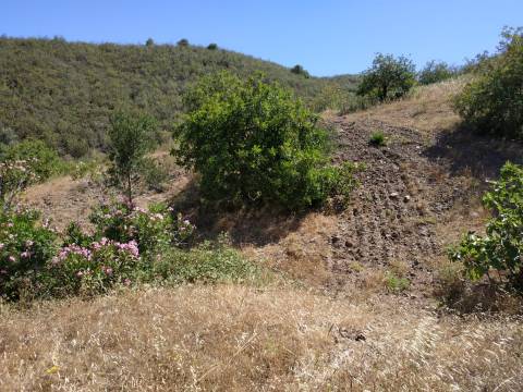 TERRENO RÚSTICO COM 20.000 M2 - VISTA LAGO - NO CERRO DO ENHO EM CASTRO MARIM - ALGARVE