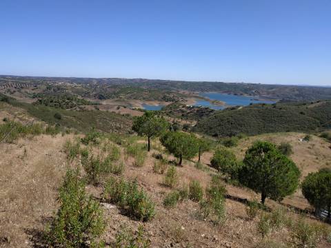 TERRENO RÚSTICO COM 20.000 M2 - VISTA LAGO - NO CERRO DO ENHO EM CASTRO MARIM - ALGARVE