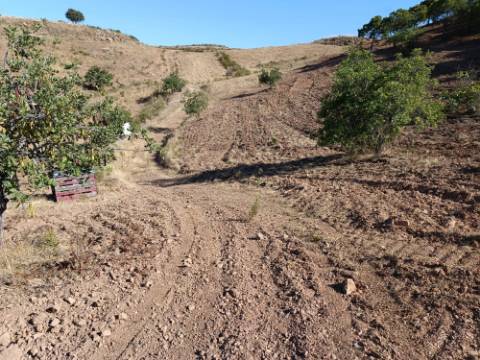TERRENO RÚSTICO COM 20.000 M2 - VISTA LAGO - NO CERRO DO ENHO EM CASTRO MARIM - ALGARVE