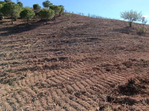 TERRENO RÚSTICO COM 20.000 M2 - VISTA LAGO - NO CERRO DO ENHO EM CASTRO MARIM - ALGARVE