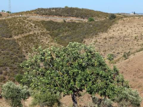 TERRENO RÚSTICO COM 20.000 M2 - VISTA LAGO - NO CERRO DO ENHO EM CASTRO MARIM - ALGARVE
