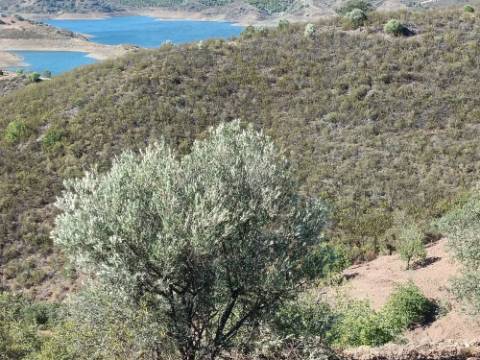 TERRENO RÚSTICO COM 20.000 M2 - VISTA LAGO - NO CERRO DO ENHO EM CASTRO MARIM - ALGARVE