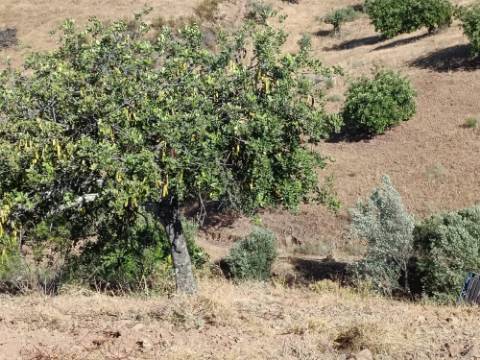 TERRENO RÚSTICO COM 20.000 M2 - VISTA LAGO - NO CERRO DO ENHO EM CASTRO MARIM - ALGARVE