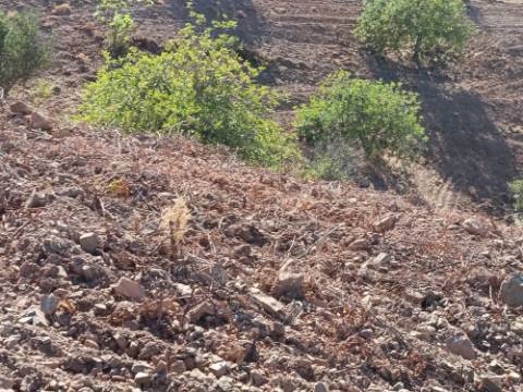 TERRENO RÚSTICO COM 20.000 M2 - VISTA LAGO - NO CERRO DO ENHO EM CASTRO MARIM - ALGARVE