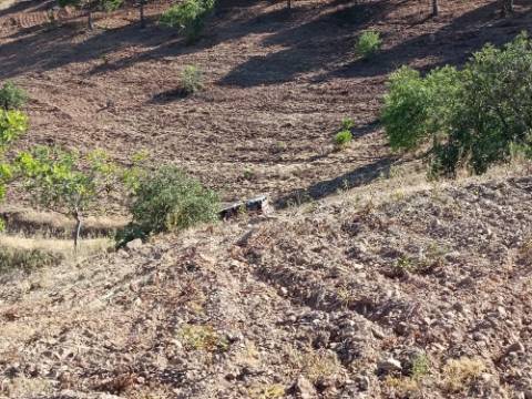 TERRENO RÚSTICO COM 20.000 M2 - VISTA LAGO - NO CERRO DO ENHO EM CASTRO MARIM - ALGARVE