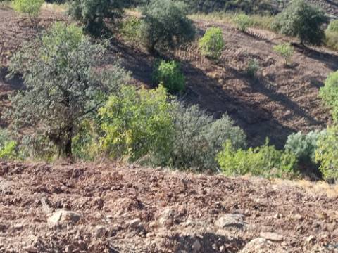 TERRENO RÚSTICO COM 20.000 M2 - VISTA LAGO - NO CERRO DO ENHO EM CASTRO MARIM - ALGARVE
