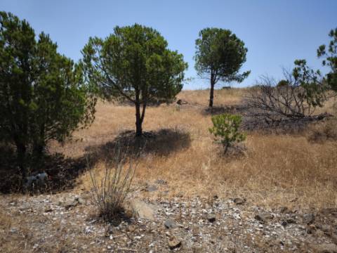 RUINA COM TERRENO - COM PIP APROVADO PARA MORADIA T3 COM PISCINA - VISTA MAR - VILA NOVA DE CACELA - VRSA - ALGARVE