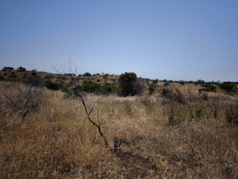 RUINA COM TERRENO - COM PIP APROVADO PARA MORADIA T3 COM PISCINA - VISTA MAR - VILA NOVA DE CACELA - VRSA - ALGARVE