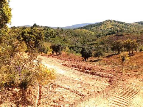 Terreno Rústico com Poço