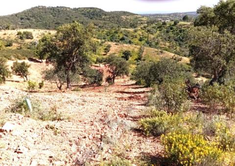 Terreno Rústico com Poço