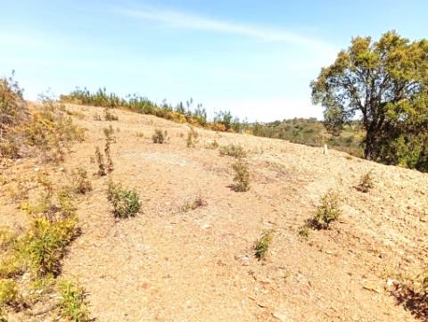 Terreno Rústico com Poço