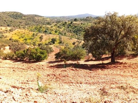 Terreno Rústico com Poço