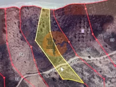 TERRENO RÚSTICO COM 7.560 M2 - NA BARRAGEM DO BELICHE - CASTRO MARIM - ALGARVE