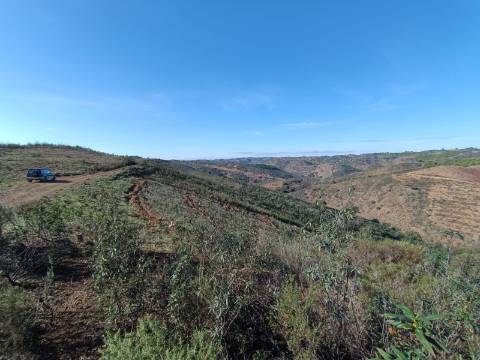 TERRENO RÚSTICO COM 7.560 M2 - NA BARRAGEM DO BELICHE - CASTRO MARIM - ALGARVE