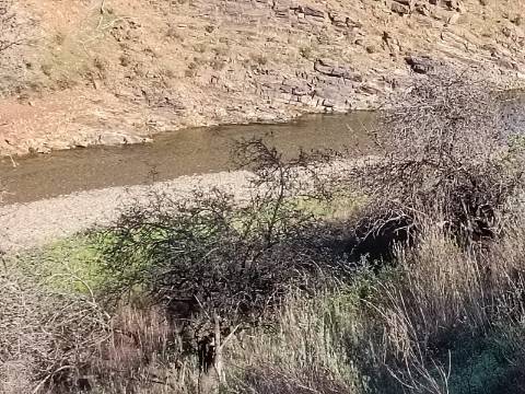TERRENO RÚSTICO COM 7.560 M2 - NA BARRAGEM DO BELICHE - CASTRO MARIM - ALGARVE