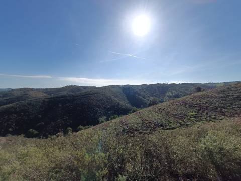 TERRENO RÚSTICO COM 7.560 M2 - NA BARRAGEM DO BELICHE - CASTRO MARIM - ALGARVE