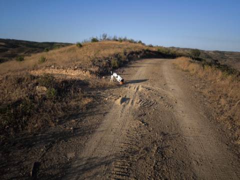 TERRENO RÚSTICO COM 7.560 M2 - NA BARRAGEM DO BELICHE - CASTRO MARIM - ALGARVE