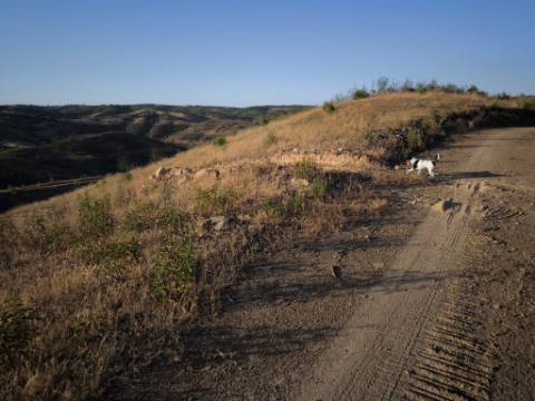 TERRENO RÚSTICO COM 7.560 M2 - NA BARRAGEM DO BELICHE - CASTRO MARIM - ALGARVE