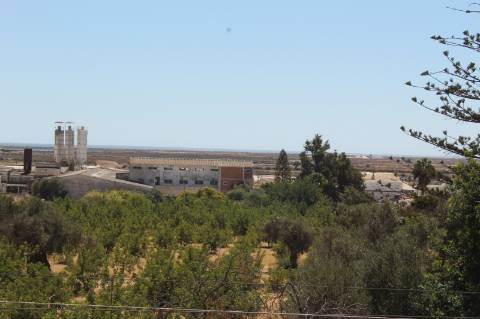 Moradia de luxo com amplas áreas, piscina, jardim e vista mar