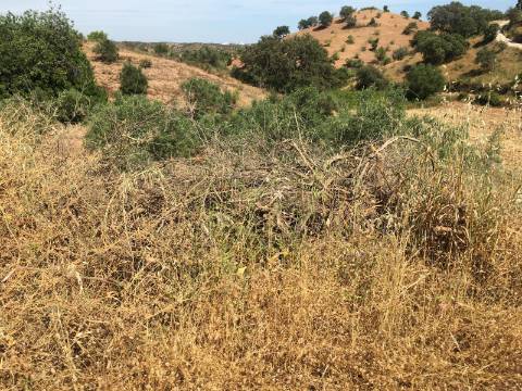 TERRENO COM 3051 M2 - URBANO DE 91 M2 - PARA REABILITAR - CASAS NOVAS - CASTRO MARIM