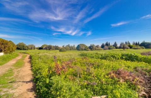 Moradia tradicional para venda em quinta junto a núcleo urbano, com a possibilidade de construção de 7 moradias com piscina