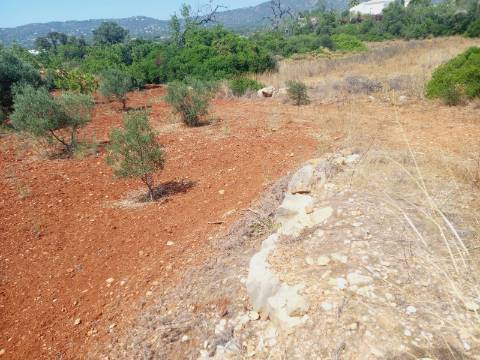 Terreno Rústico em Alcecrineira - Quelfes