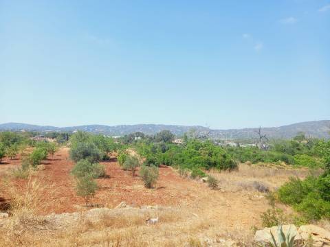 Terreno Rústico em Alcecrineira - Quelfes