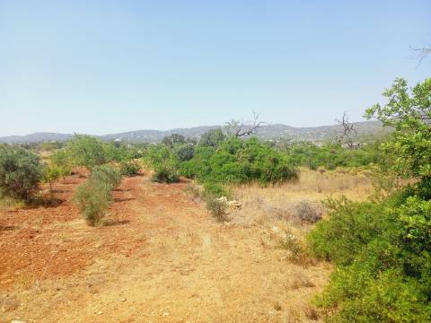 Terreno Rústico em Alcecrineira - Quelfes
