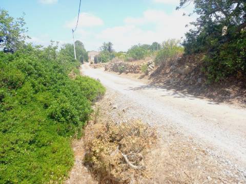 Terreno Rústico em Alcecrineira - Quelfes