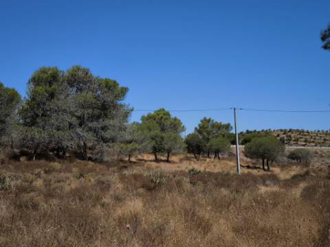 TERRENO RUSTICO COM 22.520 M2 - PLANO - COM SOBREIROS - POSSIBILIDADE DE CONSTRUIR APOIO AGRICOLA - QUINTA DO SOBRAL - CASTRO MARIM - ALGARVE