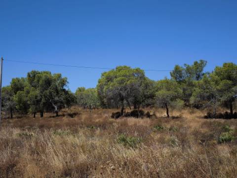 TERRENO RUSTICO COM 22.520 M2 - PLANO - COM SOBREIROS - POSSIBILIDADE DE CONSTRUIR APOIO AGRICOLA - QUINTA DO SOBRAL - CASTRO MARIM - ALGARVE