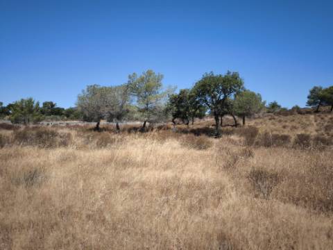 TERRENO RUSTICO COM 22.520 M2 - PLANO - COM SOBREIROS - POSSIBILIDADE DE CONSTRUIR APOIO AGRICOLA - QUINTA DO SOBRAL - CASTRO MARIM - ALGARVE