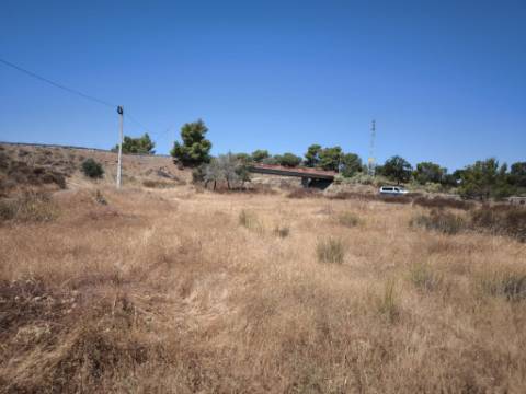 TERRENO RUSTICO COM 22.520 M2 - PLANO - COM SOBREIROS - POSSIBILIDADE DE CONSTRUIR APOIO AGRICOLA - QUINTA DO SOBRAL - CASTRO MARIM - ALGARVE