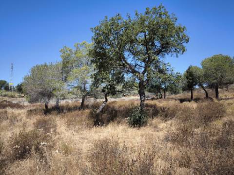 TERRENO RUSTICO COM 22.520 M2 - PLANO - COM SOBREIROS - POSSIBILIDADE DE CONSTRUIR APOIO AGRICOLA - QUINTA DO SOBRAL - CASTRO MARIM - ALGARVE