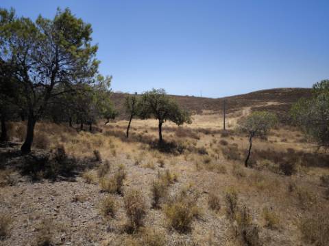 TERRENO RUSTICO COM 22.520 M2 - PLANO - COM SOBREIROS - POSSIBILIDADE DE CONSTRUIR APOIO AGRICOLA - QUINTA DO SOBRAL - CASTRO MARIM - ALGARVE