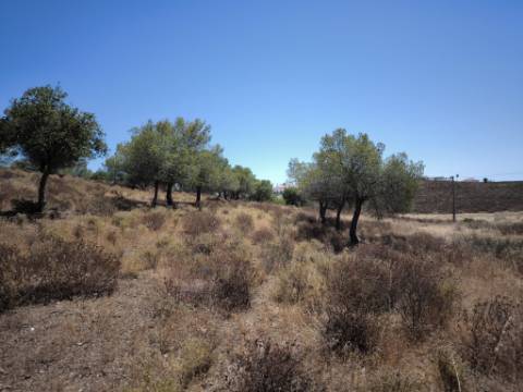 TERRENO RUSTICO COM 22.520 M2 - PLANO - COM SOBREIROS - POSSIBILIDADE DE CONSTRUIR APOIO AGRICOLA - QUINTA DO SOBRAL - CASTRO MARIM - ALGARVE