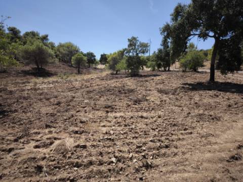 TERRENO RUSTICO COM 22.320 M2 - POSSIBILIDADE DE CONSTRUIR APOIO AGRÍCOLA - COM SOBREIROS - RIO SECO - CASTRO MARIM - ALGARVE