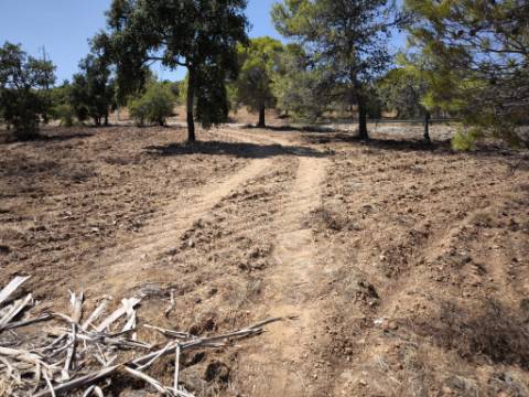 TERRENO RUSTICO COM 22.320 M2 - POSSIBILIDADE DE CONSTRUIR APOIO AGRÍCOLA - COM SOBREIROS - RIO SECO - CASTRO MARIM - ALGARVE