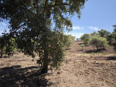 TERRENO RUSTICO COM 22.320 M2 - POSSIBILIDADE DE CONSTRUIR APOIO AGRÍCOLA - COM SOBREIROS - RIO SECO - CASTRO MARIM - ALGARVE